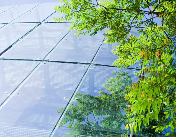 Vue d'un immeuble en verre avec des feuilles d'arbre