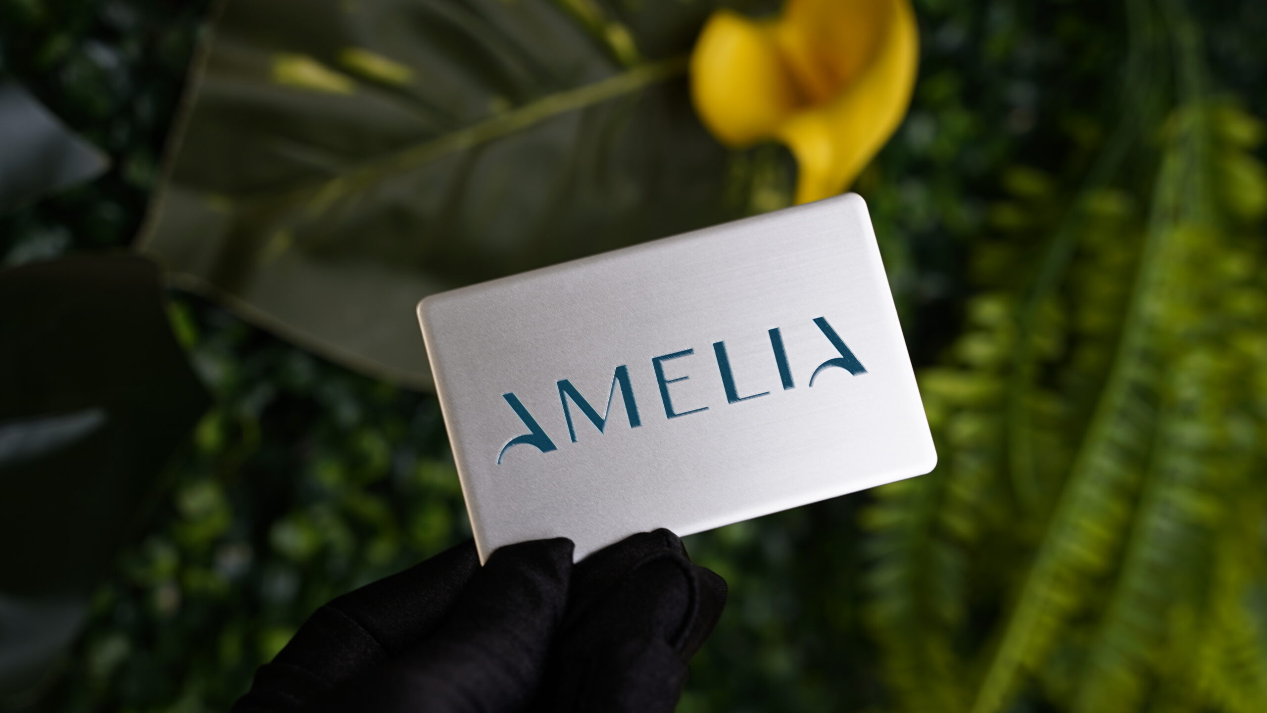 Carte métallique AMELIA sur fond végétal.